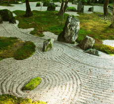 création de jardin zen japonais à dieppe
