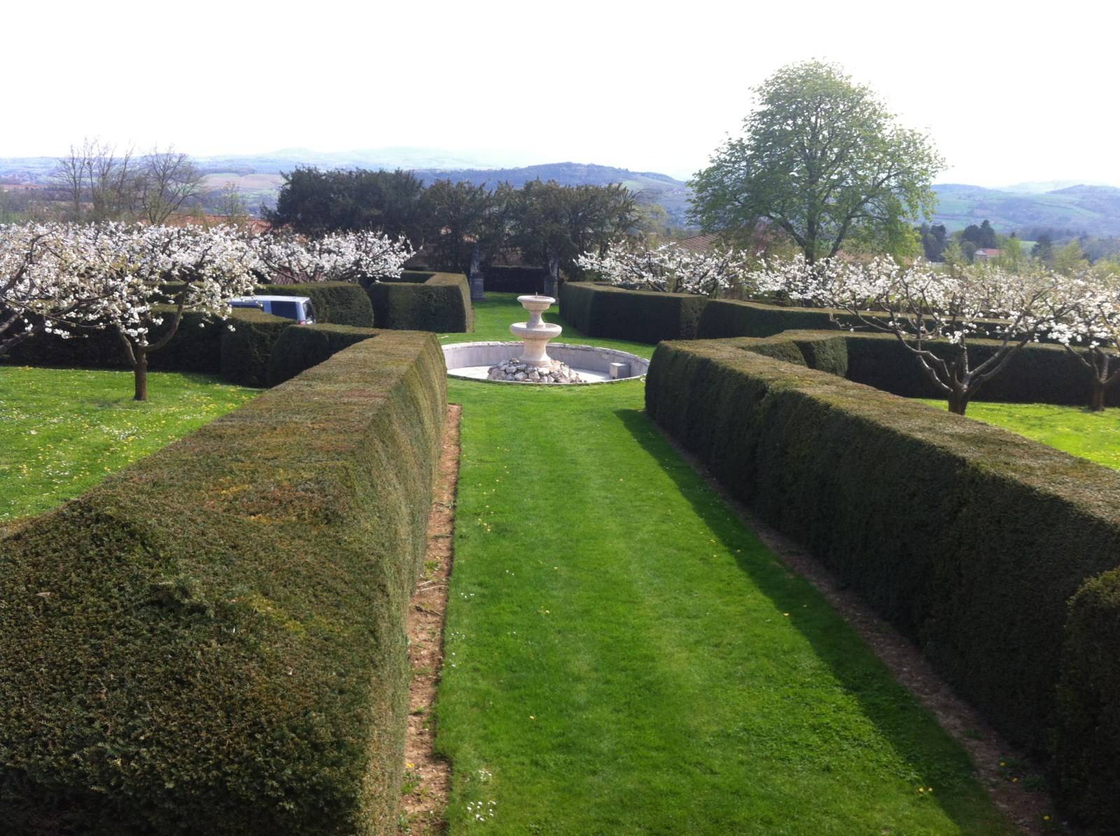 Taille de haies au carré 