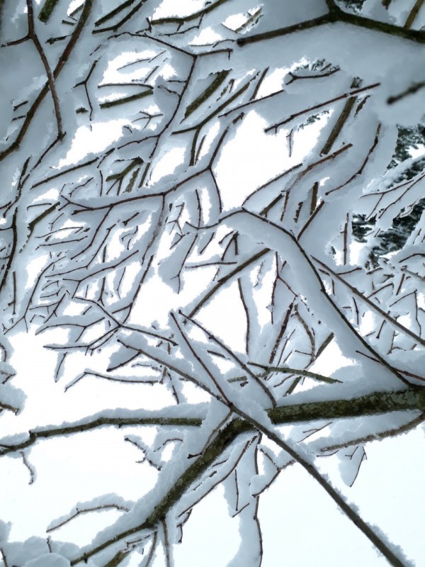 Les température remontent après l'hiver