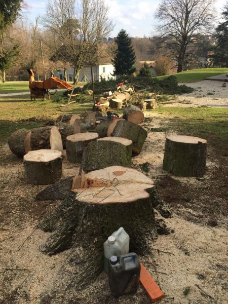 Débittage d'un arbre aprés son abattage prés de Rouen 76000