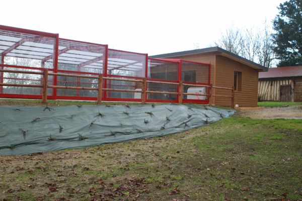 Abri haut double vitrage et pool house en Normandie