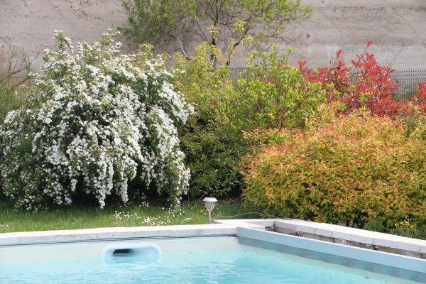 Aménagement de plantations autour de la piscine Darnétal76