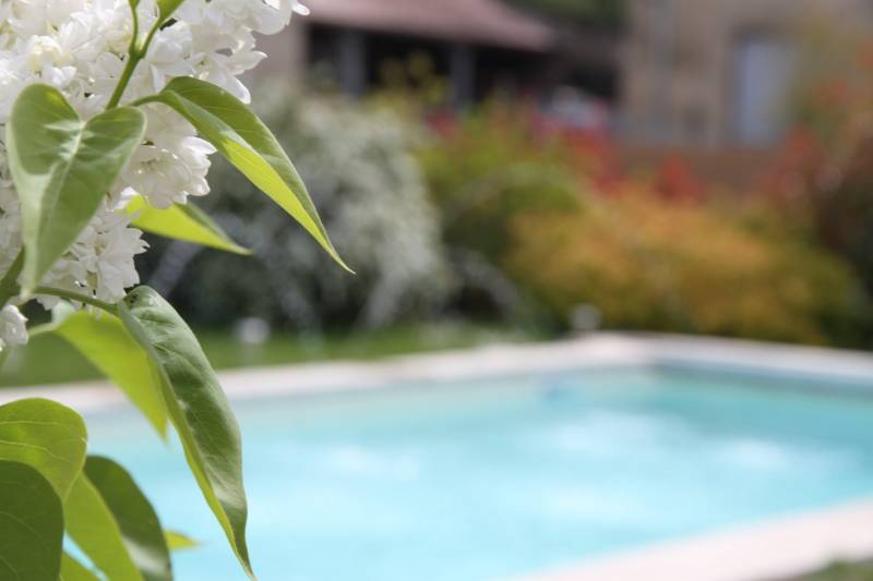 Piscine paysagée en Normandie