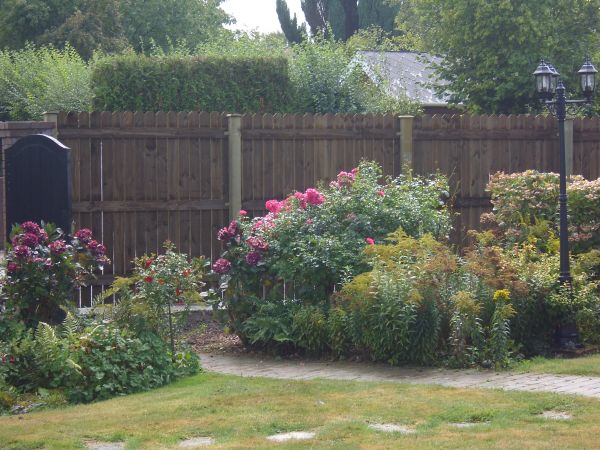 Cloture bois paysagée