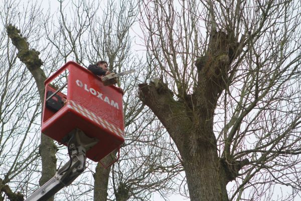 Travail en nacelle de 20 métres region de Dieppe 76200