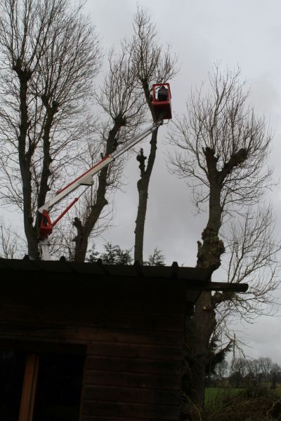 Elagage de fresnes proche de batiments d'exploitation prés de Luneray 76810