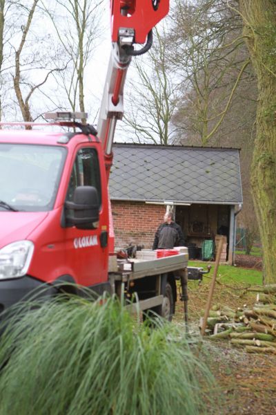 Elagage pour la protection de la toiture d'une maison normande 76000