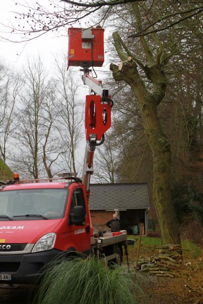 Elagage avec nacelle en Normandie