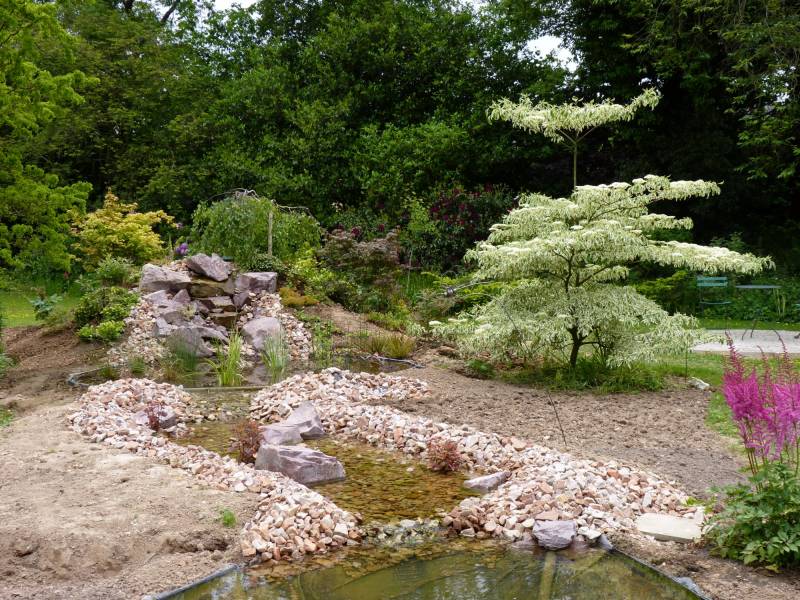 Plantation d'arbre prés du bassin en Normandie