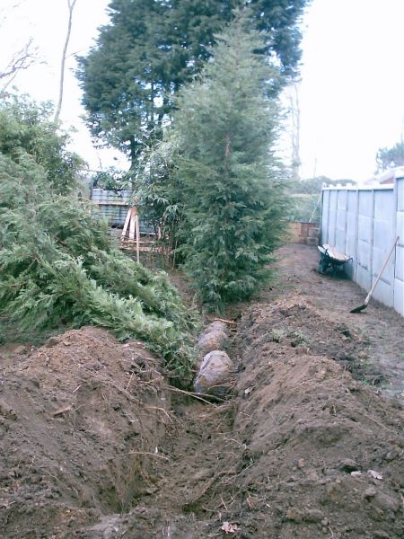 Plantation d'une haie en Seine Maritime