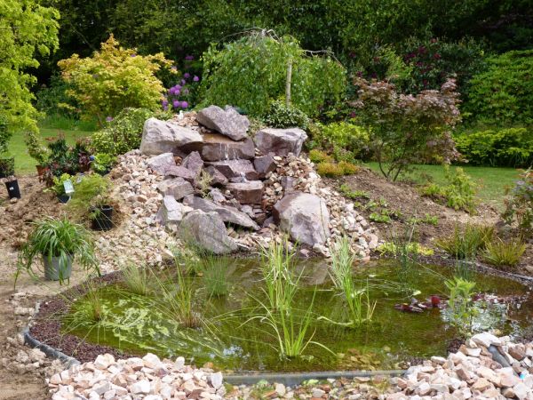 Plan d'eau filtration naturel 76