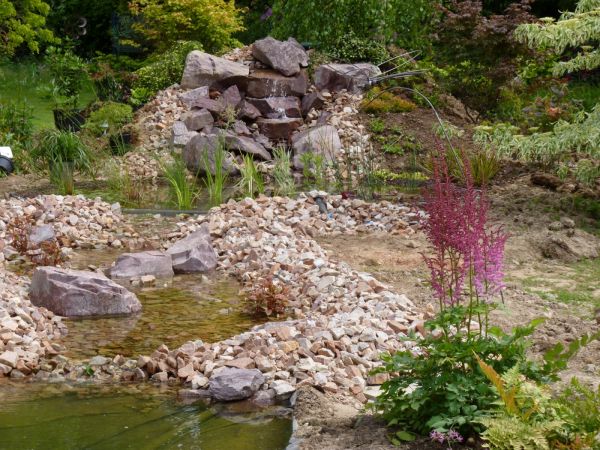 Cheminement du ruisseau au milieu des végétaux