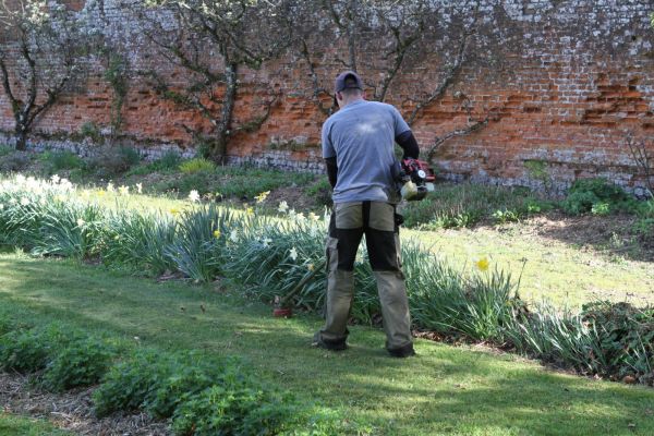 Taille de bordure précise par un professionel à Martin Eglise 76