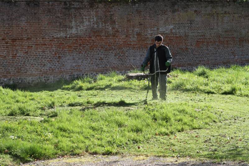 Débroussaillage de prairie dans la région de Bacqueville en caux 76730