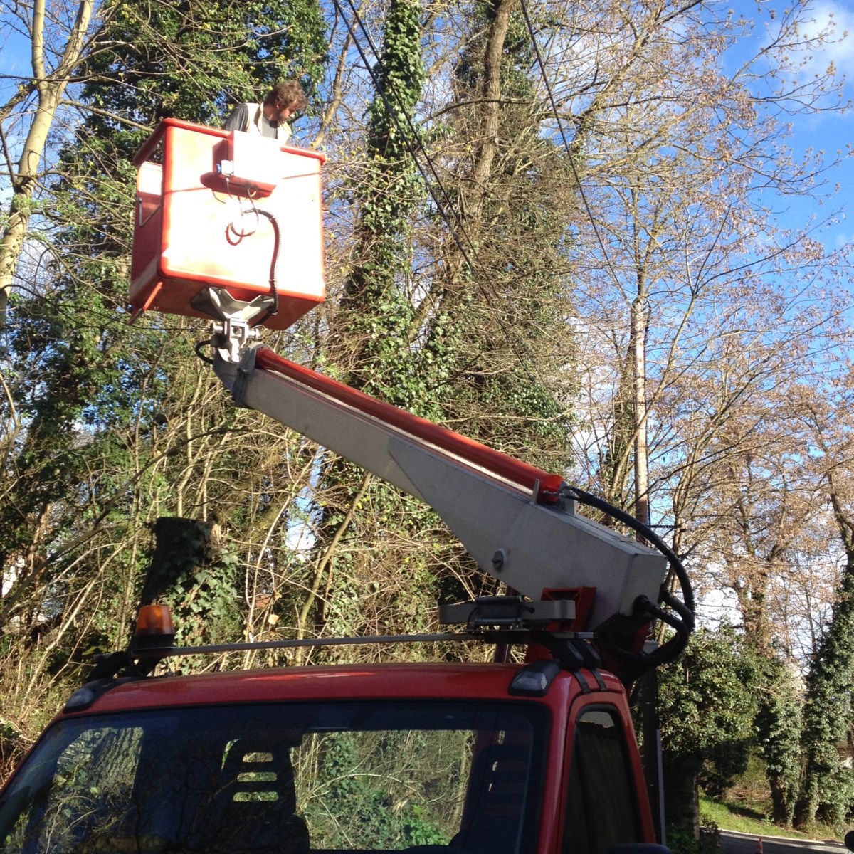 travaux d'élagage à Francheville 69340