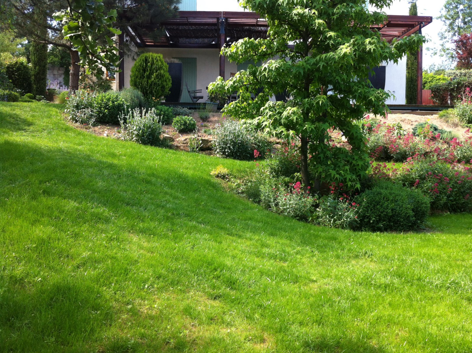 Réfection de gazon à l'Arbresle 69