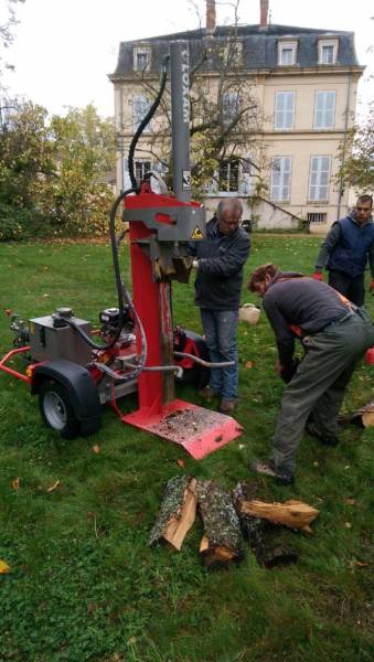 Fente du bois d'un chêne en Normandie