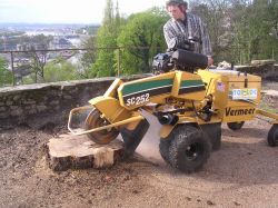 Notre zone d'activité pour ce service Jardinier paysagiste pour l'élagage d'arbres dangereux
