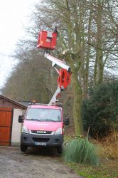 Notre zone d'activité pour ce service Élagage et taille d'espace vert par jardinier