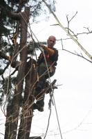 Notre zone d'activité pour ce service Élagage et taille d'espace vert par jardinier