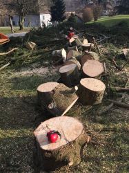 Nos prestations sur le secteur de Yvetot 76190