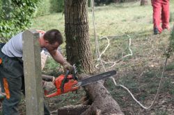 Notre zone d'activité pour ce service Jardinier paysagiste pour l'élagage d'arbres dangereux