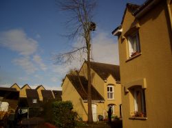 Nos prestations sur le secteur de Rouen 76000